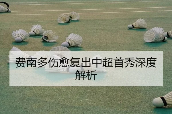 费南多伤愈复出中超首秀深度解析（Yabo）